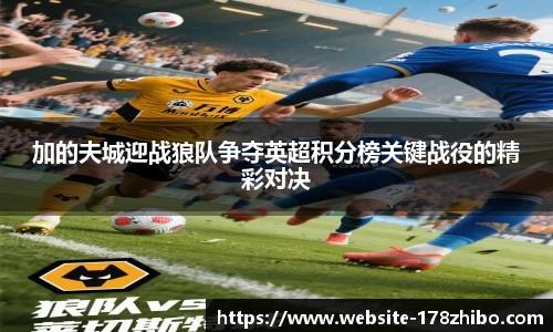 加的夫城迎战狼队争夺英超积分榜关键战役的精彩对决
